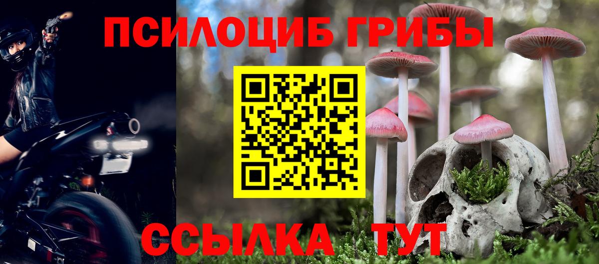 цены   Вход с VPN  Сергиев Посад  Галлюциногенные грибы мицелий 